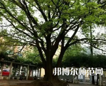 2023年興義民族師范學院電子科學與技術專業(yè)介紹