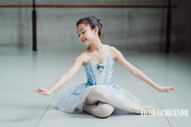 南充電子工業(yè)幼兒師范學(xué)校介紹、地址